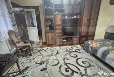 Casă cu 1 camere cu Teren 1306 Mp în Careiului - 10