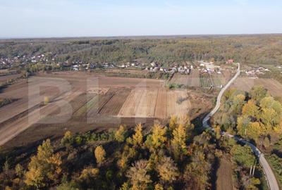 Proprietate de vanzare, 1000 mp, sat Garleni - 10