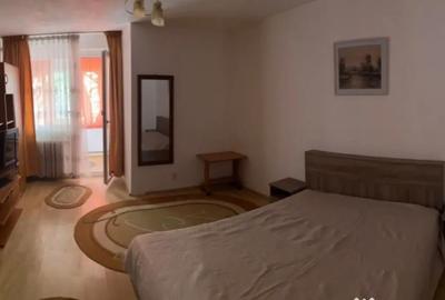 Garsonieră semidecomandată în Brazda lui Novac - 1