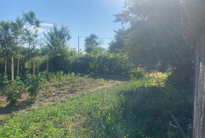 Casa cu gradina si anexe de vanzare, Balta, com. Runcu, Gorj - 5