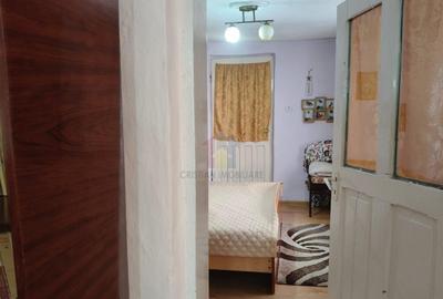 Casa 4 camere, Radu Negru, Teren - 264 mp - 7