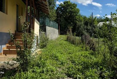 Casă cu 2 camere cu Teren 5300 Mp în Breaza - 5