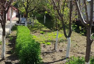 Casă cu 3 camere cu Teren 1000 Mp în Costache Negri - 2