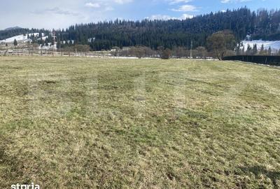 Teren de 12500 mp, în Poiana Stampei - 2