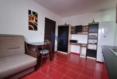 Apartament 1 cameră spațios, Gheorgheni, str Albac - 4