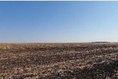 Teren extravilan Putineiu, ID: R2718957 - 14