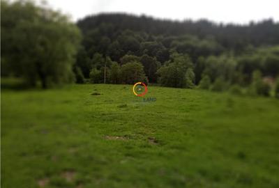 Teren de 1500 mp, în Central - 5