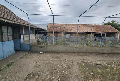 Casă cu 4 camere cu Teren 1500 Mp în Urzica - 5