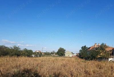 Casa Beregsau Mic caramida strada principala ,teren mare - 3