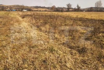 Teren de 4000 mp, în Central - 2