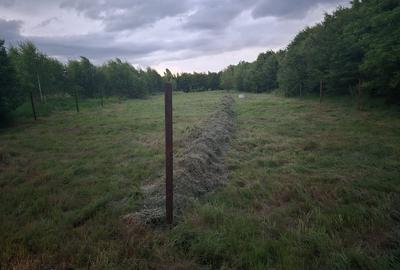 Teren intravilan | 2000 mp | de vanzare- Valea Avrigului - 3