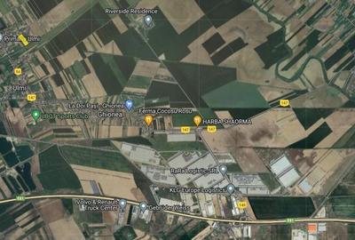 Investitie sigura! Vanzare ferma de legume care merge in plin! - 13