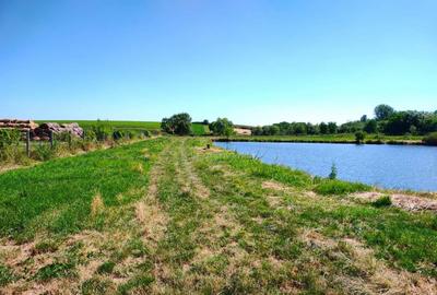 Teren 18.247 mp cu balta de pescuit Misca, Comuna Chi... - 9