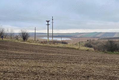 Teren de 23400 mp, în Central - 6