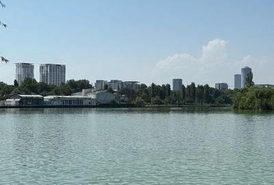 Casă individuală cu 7 camere în Barbu Văcărescu