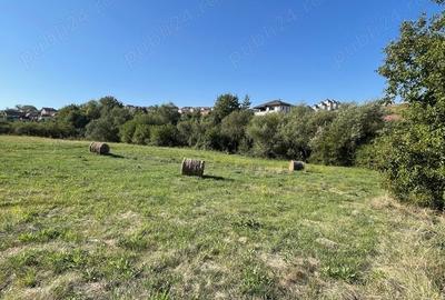 Teren în Dezmir - 5
