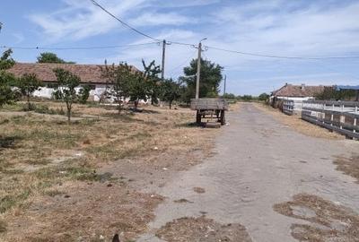 Teren de 95000 mp, în Cerneteaz - 9