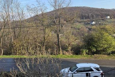 Casă cu 3 camere în Valea Mare - 1