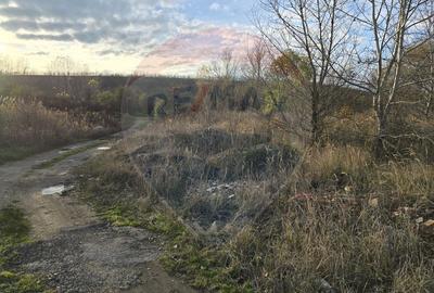 Teren intravilan 900mp Isalnita - 3