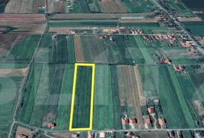 Teren de 11500 mp, în Central - 2