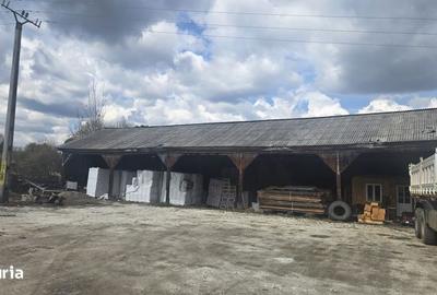 Teren în Panaci - 7