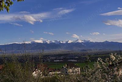 Casă în Hațeg - 1