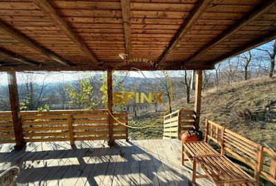 Casa moderna 5 camere Drajna de Sus,  teren generos si pomi fructiferi - 22