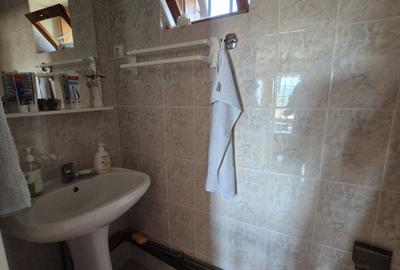 Casa de vanzare in Bajesti, comuna Balilesti, judetul Arges – Mioveni - 14