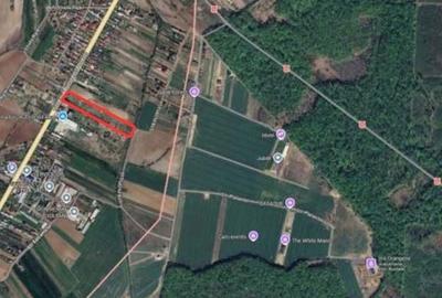 Teren de 7028 mp, în Ciolpani - 1