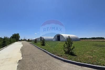 Spațiu comercial, de 1,400 mp, în Potigrafu - 5