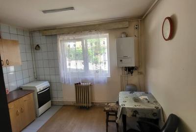 Apartament 1 camera in Dambu-Rotund 40 mp - 6
