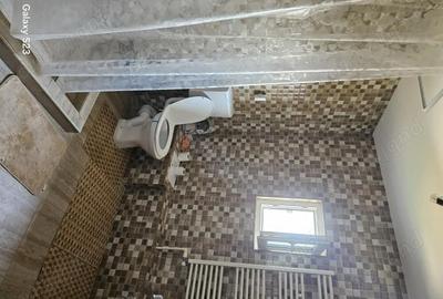 Casă cu 6 camere în Bălăceanca - 1