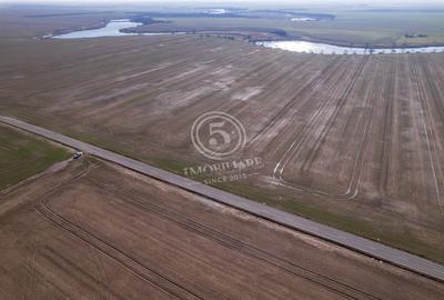 Teren Construcții intravilan de 17500 mp, în Frumușani - 11