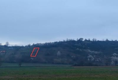 Spațiu comercial, în Remetea - 5