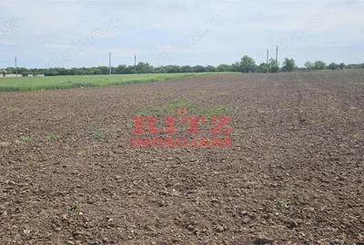 Teren de 4998 mp, în Caracal - 1