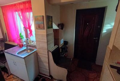 Casă cu 2 camere cu Teren 250 Mp în Lunei - 11