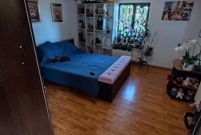 Casa P+1 400 mp teren Godeanu Carrefour Colosseum - 3