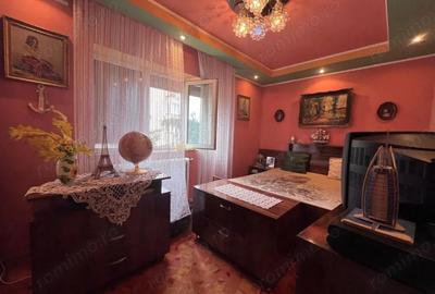 Apartament cu 2 camere semidecomandat în Gojdu - 10