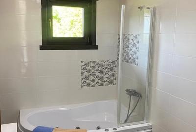 Casa de inchiriat 240mp utili, Zona Grigorescu - 14