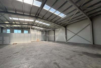 Inchiriere Hala 600 mp CHITILA PARC TBM - 6