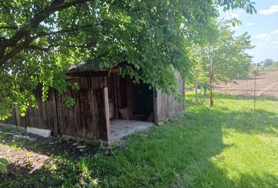Casă cu 3 camere în Verguleasa - 3