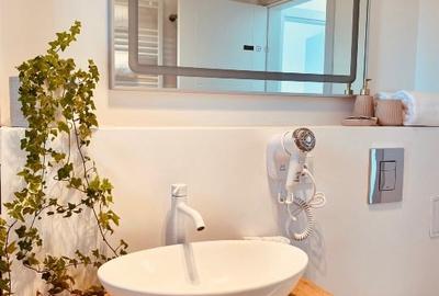 DIRECT PROPRIETAR/SUPERB MOBILAT/LUMINOS/OTOPENI/OPORTUNITATE INVESTITIE - 9