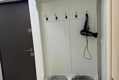 Proprietar,apartament 1 camera,Lunca Cetatuii - 2