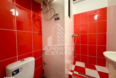 Apartament cu 2 camere, mobilat în Șagului