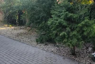 Apartament cu 2 camere cu curte ?i parcare zona Sagului, Timi?oara - 6