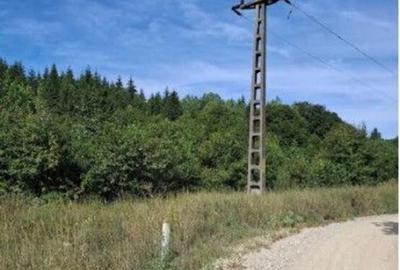 Teren de 400 mp, în Șotânga - 2