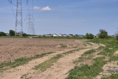 Teren agricol extravilan de 9983 mp, în Berceni - 9