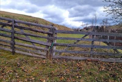 Vând 1000 mp în̈ Moieciu, cu imens potențial investițional Vând 1000 mp în̈ Moieciu, cu imens potențial investițional - 5