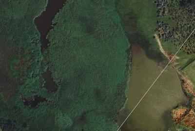 Teren de 131000 mp, în Piersica - 2