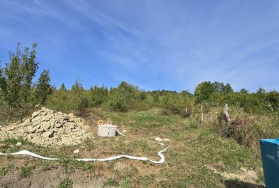 Teren de 3000 mp, în Câmpeni - 9